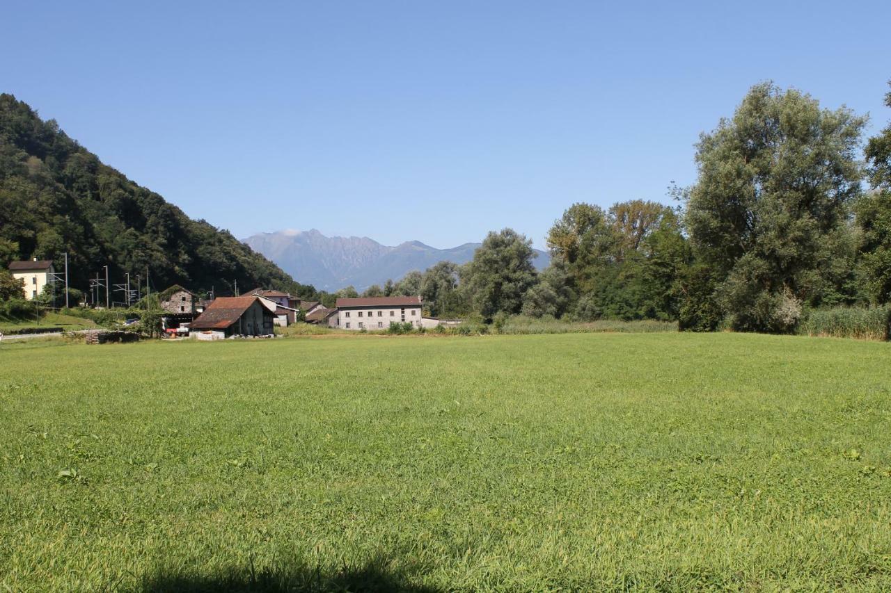 Ferienwohnung Casa Ortensia Gambarogno Exterior foto